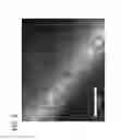 Fig. 09 - Synthesis of nanostructured photoactive films with controlled morphology by a flame aerosol reactor
