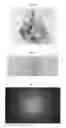 Fig. 04 - Method for preparing single-crystal cubic sesquioxides and uses