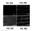 Fig. 34 - Flexible fabric having superhydrophobic surface