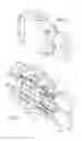 Fig. 02 - Shower head with integrated mixing valve