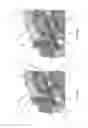 Fig. 06 - Mechanical touch faucet