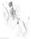 Fig. 17 - Mechanical touch faucet