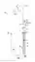 Fig. 02 - Magnetic docking faucet