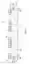 Fig. 03 - INSULATING PANEL WITH ALIGNMENT ASSEMBLY AND INSULATING PANEL ASSEMBLY INCLUDING SAME