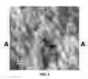 Fig. 04 - SMART WINDOW USING AEROGEL
