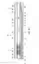 Fig. 26 - Steerable hydraulic jetting nozzle, and guidance system for downhole boring device