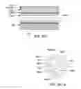 Fig. 09 - Downhole hydraulic Jetting Assembly