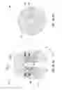 Fig. 15 - Downhole hydraulic Jetting Assembly