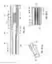 Fig. 25 - Downhole hydraulic Jetting Assembly