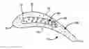 Fig. 01 - Composite airfoil