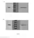 Fig. 15 - RECESSION RESISTANT CERAMIC MATRIX COMPOSITES AND ENVIRONMENTAL BARRIER COATINGS