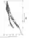 Fig. 04 - GAS TURBINE ENGINE WITH SPLIT LUBRICATION SYSTEM