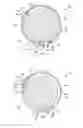 Fig. 01 - Rotary internal combustion engine