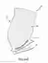 Fig. 25 - Plated polymer fan