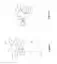 Fig. 03 - Torque limiting set screw