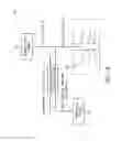 Fig. 11 - Hydrodynamic bearing features