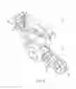 Fig. 03 - Air clutch cover