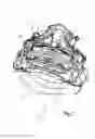 Fig. 02 - Brake pad of a disk brake, and disk brake