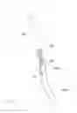 Fig. 04 - APPARATUS FOR PREVENTING BREAKAGE OF VARIABLE CHARGE MOTION VALVE LINK