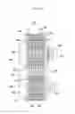 Fig. 17 - Heat exchanger for vehicle