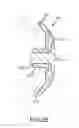 Fig. 05 - Cover kit for a firearm handguard
