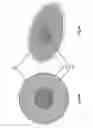 Fig. 05 - Igniter device