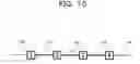 Fig. 16 - Route information processing apparatus and route information processing method