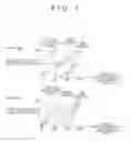 Fig. 08 - Rotation angle detection device