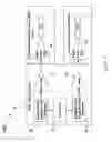 Fig. 06 - Isotope specific arbitrary material flow meter