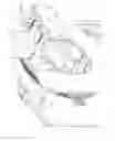 Fig. 06 - Device for determining a bidirectional reflectance distribution function of a subject