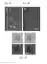 Fig. 02 - METHODS AND APPARATUS FOR THE MANIPULATION OF PARTICLE SUSPENSIONS AND TESTING THEREOF