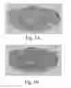 Fig. 06 - System and method for determining a concentration of a compound in a solvent