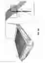 Fig. 04 - Fluorescent imaging using a flatbed scanner
