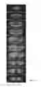 Fig. 15 - Multiview light-sheet microscopy