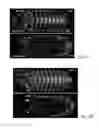 Fig. 23 - Multiview light-sheet microscopy