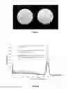 Fig. 02 - SYSTEM AND METHOD FOR DETECTION OF CONTAMINANTS