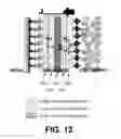 Fig. 15 - Sensing platform for quantum transduction of chemical information