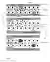 Fig. 11 - Synthetic microfluidic systems for wound healing