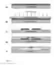 Fig. 13 - Synthetic microfluidic systems for wound healing