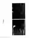 Fig. 15 - Modulation of axon degeneration
