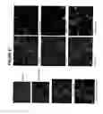 Fig. 48 - Modulation of axon degeneration