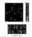 Fig. 11 - QUANTITATIVE DNA-BASED IMAGING AND SUPER-RESOLUTION IMAGING