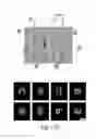 Fig. 25 - QUANTITATIVE DNA-BASED IMAGING AND SUPER-RESOLUTION IMAGING