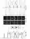 Fig. 27 - QUANTITATIVE DNA-BASED IMAGING AND SUPER-RESOLUTION IMAGING