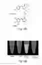 Fig. 35 - QUANTITATIVE DNA-BASED IMAGING AND SUPER-RESOLUTION IMAGING