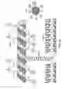 Fig. 06 - Hybrid semiconducting polymer nanoparticles as polarization-sensitive fluorescent probes