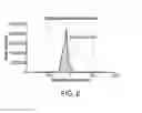 Fig. 08 - Hybrid semiconducting polymer nanoparticles as polarization-sensitive fluorescent probes