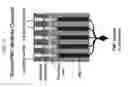 Fig. 16 - OPTOELECTRONIC DETECTION SYSTEM