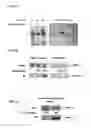 Fig. 03 - Means and methods for diagnosing and treating multiple sclerosis