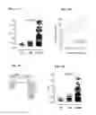 Fig. 06 - Means and methods for diagnosing and treating multiple sclerosis